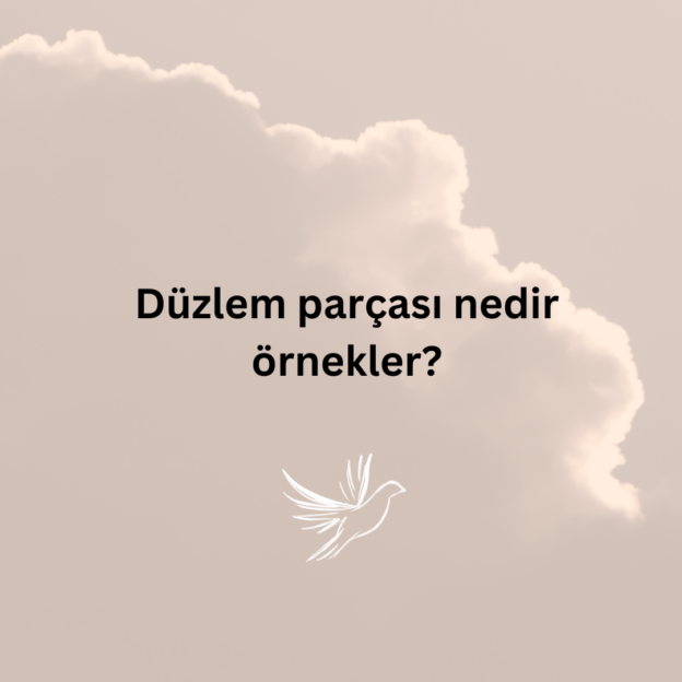 Düzlem parçası nedir örnekler? 1