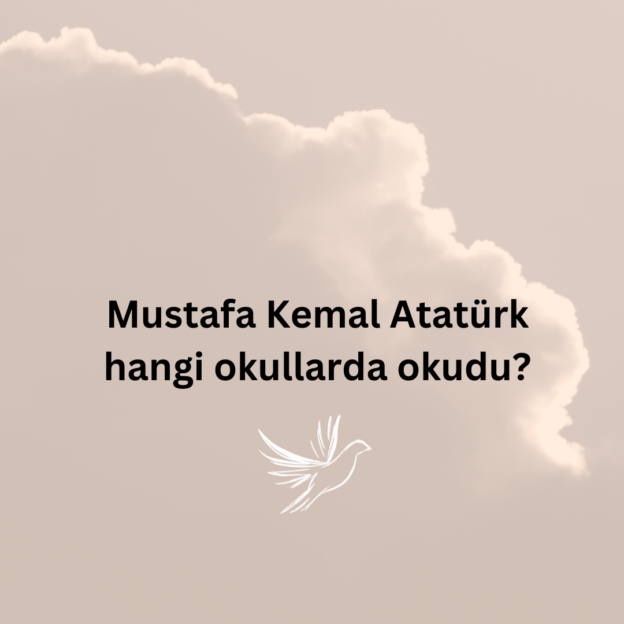 Mustafa Kemal Atatürk hangi okullarda okudu? 7