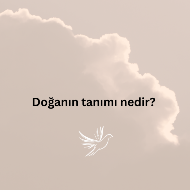 Doğanın tanımı nedir? 10