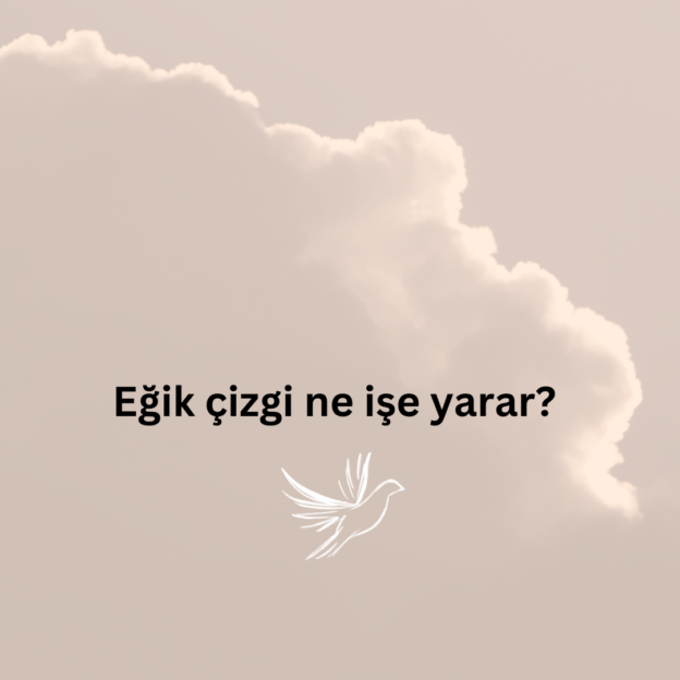 Eğik çizgi ne işe yarar? 4