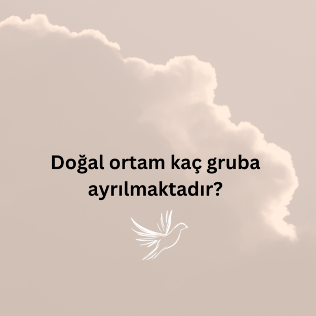 Doğal ortam kaç gruba ayrılmaktadır? 1