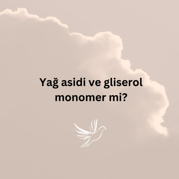 Yağ asidi ve gliserol monomer mi? 1