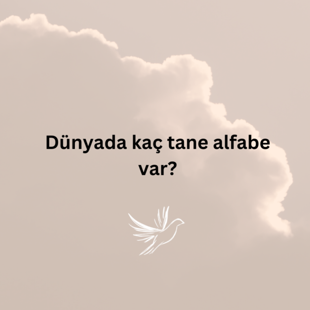 Dünyada kaç tane alfabe var? 3