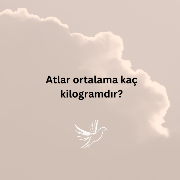 Atlar ortalama kaç kilogramdır? 1