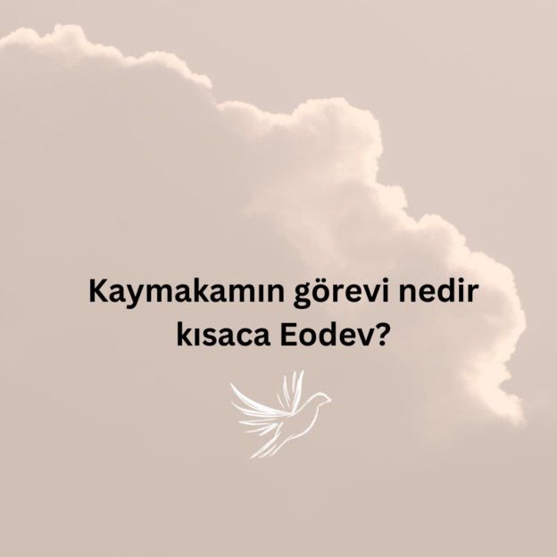 Kaymakamın görevi nedir kısaca Eodev? 1