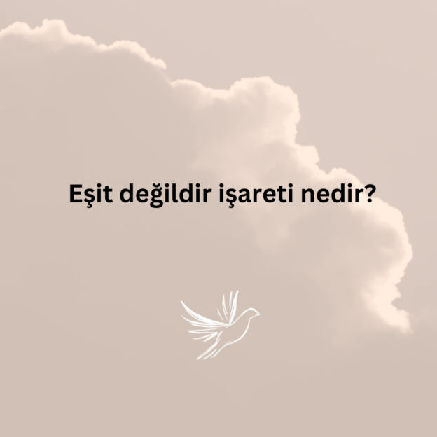 Eşit değildir işareti nedir? 1