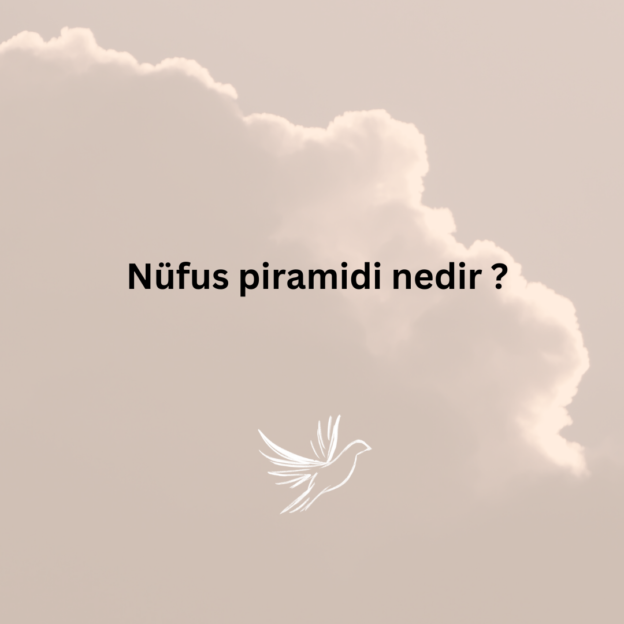 Nüfus piramidi nedir ? 1