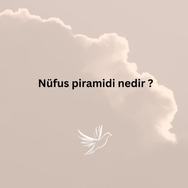 Nüfus piramidi nedir ? 10