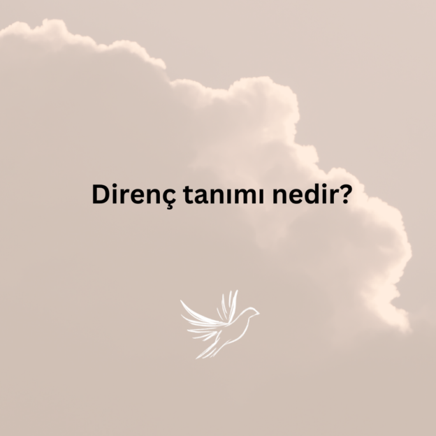 Direnç tanımı nedir? 1