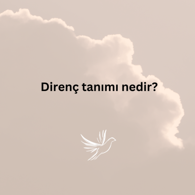 Direnç tanımı nedir? 6