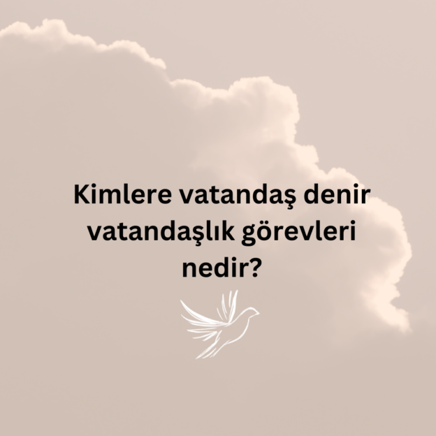 Kimlere vatandaş denir vatandaşlık görevleri nedir? 1