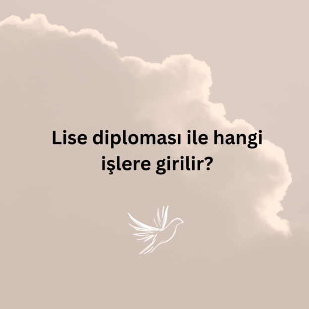 Lise diploması ile hangi işlere girilir? 1