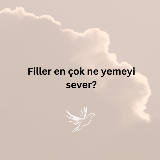 Filler en çok ne yemeyi sever? 1