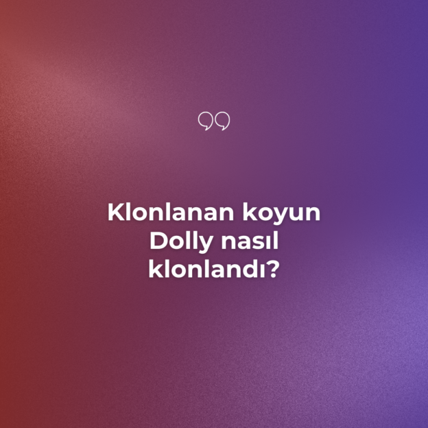 Klonlanan koyun Dolly nasıl klonlandı? 1