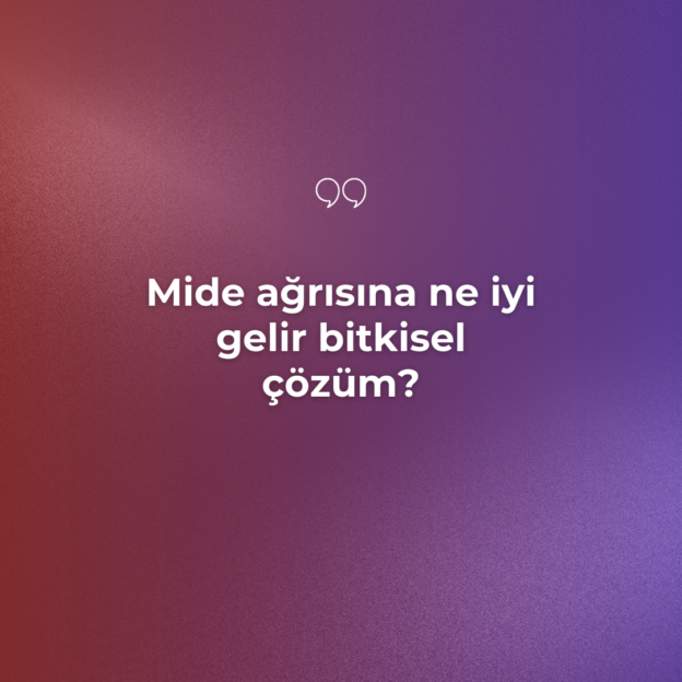 Mide ağrısına ne iyi gelir bitkisel çözüm? 1