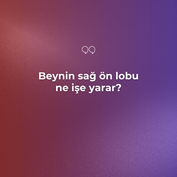 Beynin sağ ön lobu ne işe yarar? 5