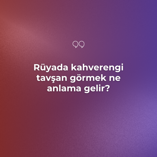 Rüyada kahverengi tavşan görmek ne anlama gelir? 1