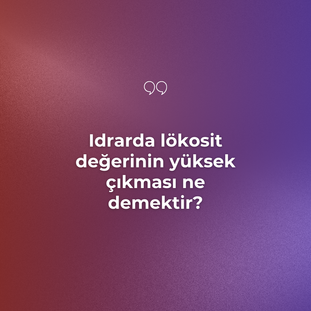 Idrarda lökosit değerinin yüksek çıkması ne demektir? Ne Demek Zıt