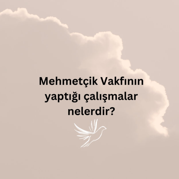 Mehmetçik Vakfının yaptığı çalışmalar nelerdir? 3