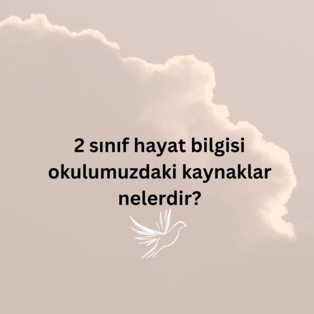 2 sınıf hayat bilgisi okulumuzdaki kaynaklar nelerdir? 1