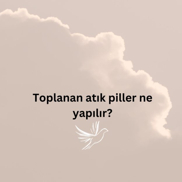 Toplanan atık piller ne yapılır? 1