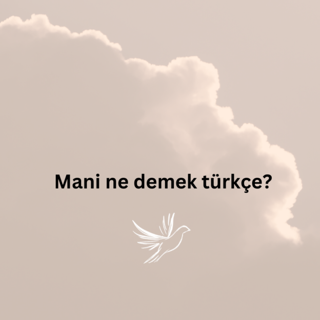 Mani ne demek türkçe? 4