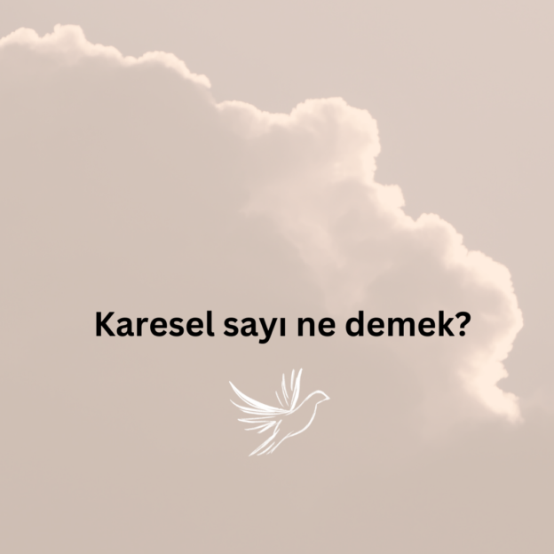 Karesel sayı ne demek? 9