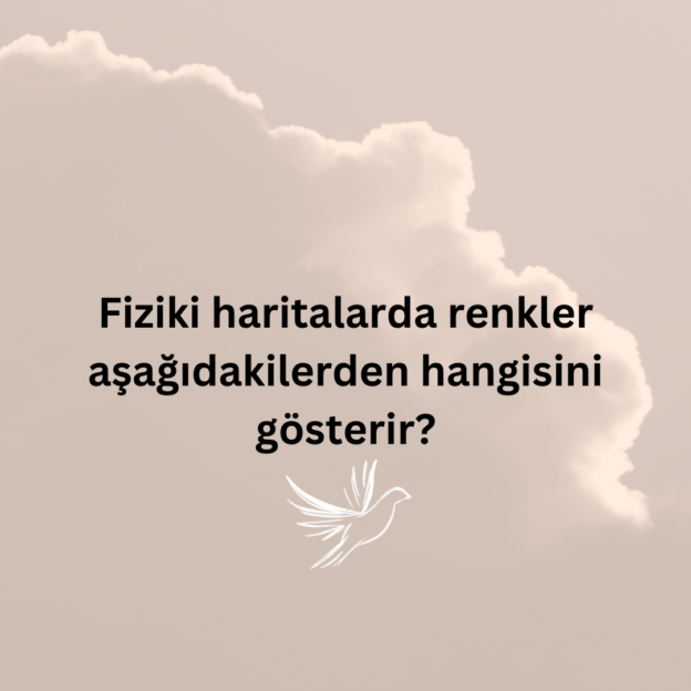 Fiziki haritalarda renkler aşağıdakilerden hangisini gösterir? 1