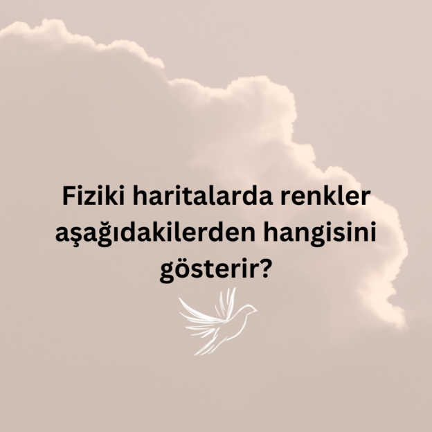 Fiziki haritalarda renkler aşağıdakilerden hangisini gösterir? 4