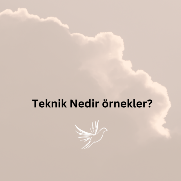 Teknik Nedir örnekler? 2