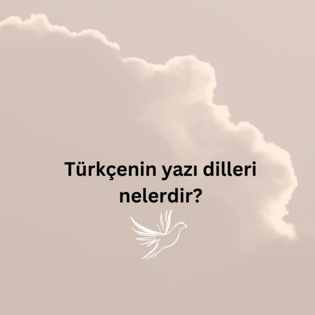 Türkçenin yazı dilleri nelerdir? 8