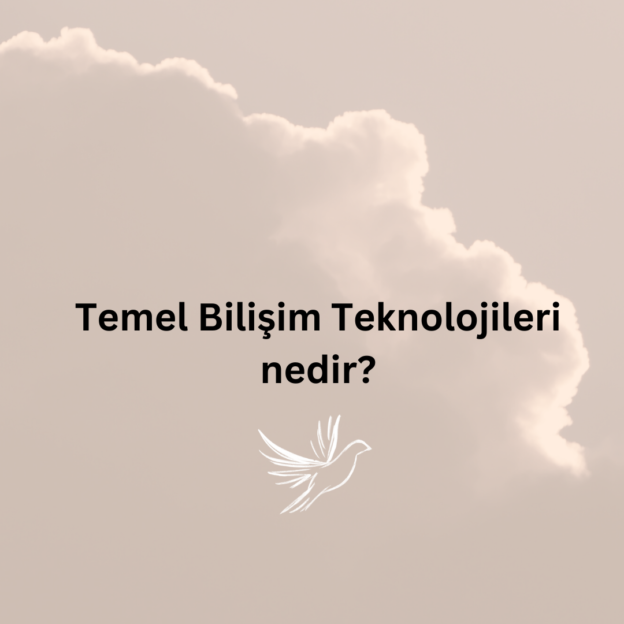 Temel Bilişim Teknolojileri nedir? 2