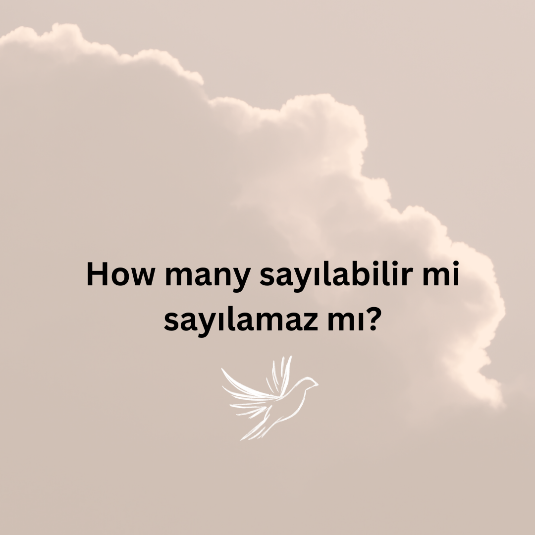 How many sayılabilir mi sayılamaz mı? Ne Demek Zıt Anlamı Eş Anlamı