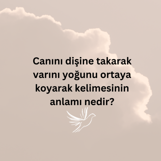 Canını dişine takarak varını yoğunu ortaya koyarak kelimesinin anlamı nedir? 1