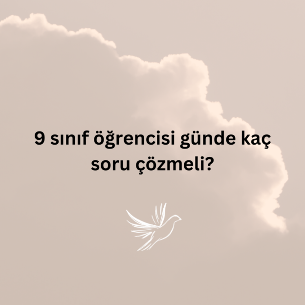 9 sınıf öğrencisi günde kaç soru çözmeli? 1