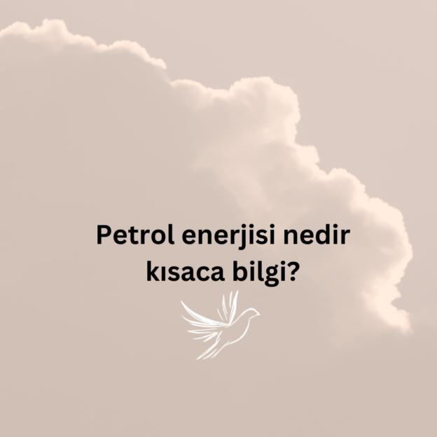 Petrol enerjisi nedir kısaca bilgi? 1