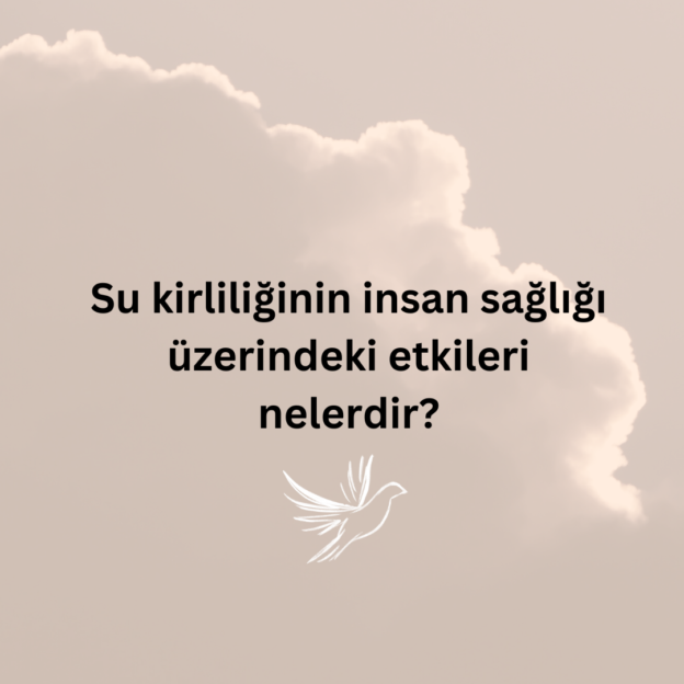 Su kirliliğinin insan sağlığı üzerindeki etkileri nelerdir? 1
