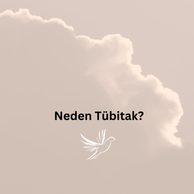 Neden Tübitak? 1