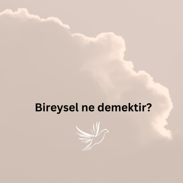 Bireysel ne demektir? 1