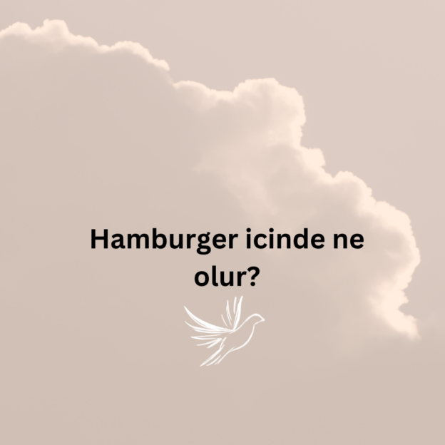 Hamburger icinde ne olur? 1