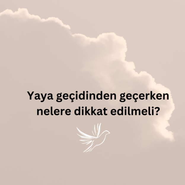 Yaya geçidinden geçerken nelere dikkat edilmeli? 1
