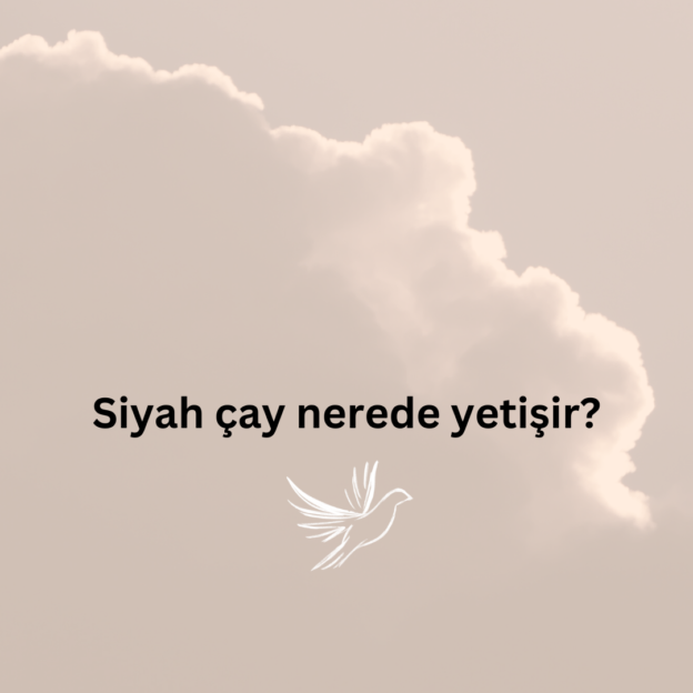 Siyah çay nerede yetişir? 1