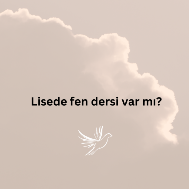 Lisede fen dersi var mı? 1