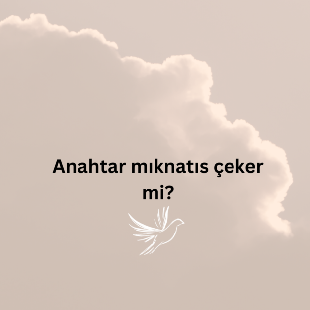 Anahtar mıknatıs çeker mi? 1