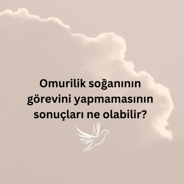 Omurilik soğanının görevini yapmamasının sonuçları ne olabilir? 1