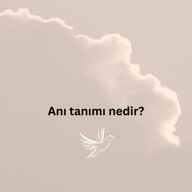 Anı tanımı nedir? 1