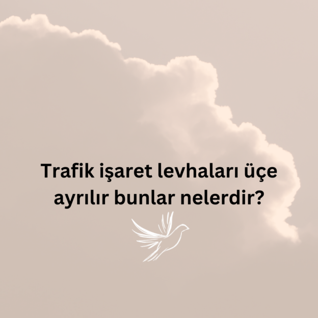 Trafik işaret levhaları üçe ayrılır bunlar nelerdir? 1