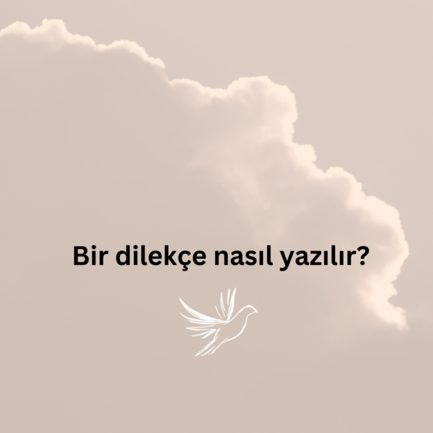 Bir dilekçe nasıl yazılır? 1