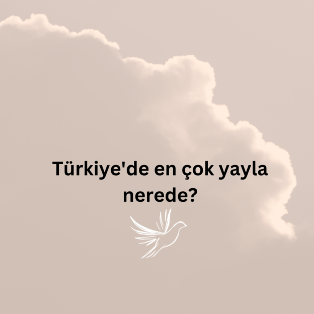 Türkiye'de en çok yayla nerede? 1