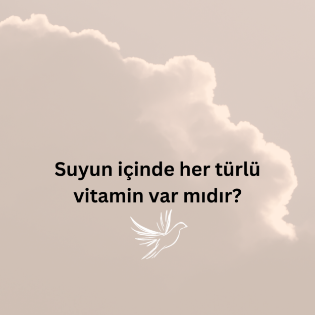Suyun içinde her türlü vitamin var mıdır? 1